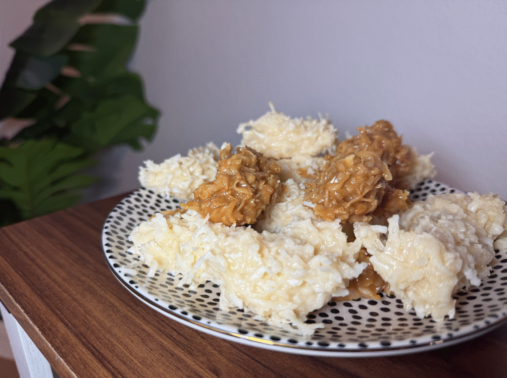 Sweet Brazilian coconut flakes
