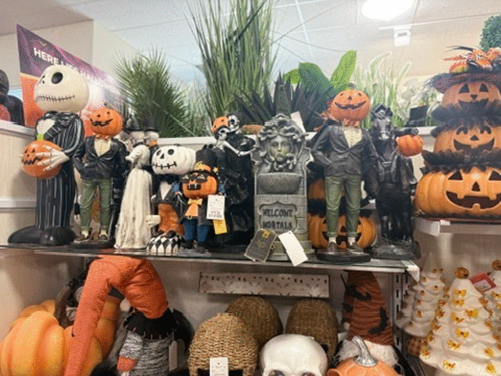 Halloween itens in Tjmax Home Goods