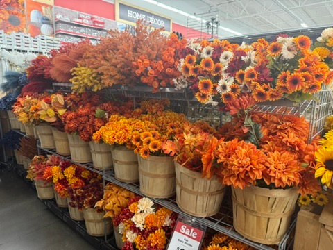 Halloween itens in Michaels