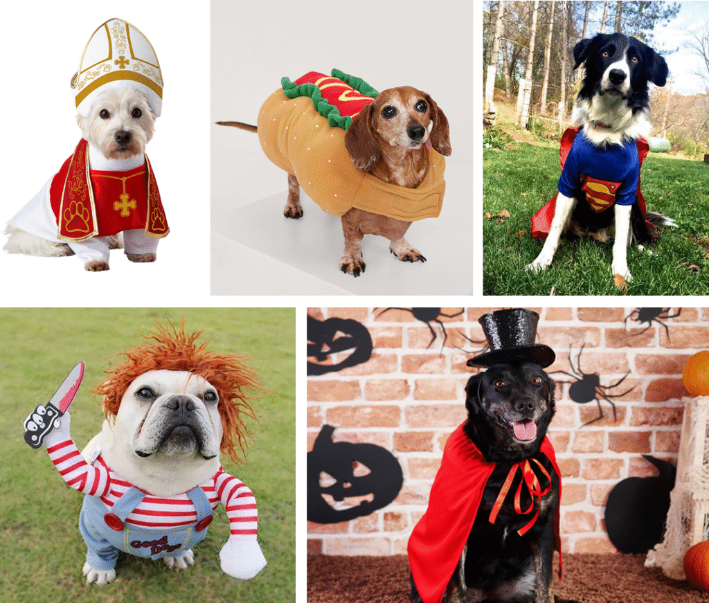 pet-costumes Pet's costumes