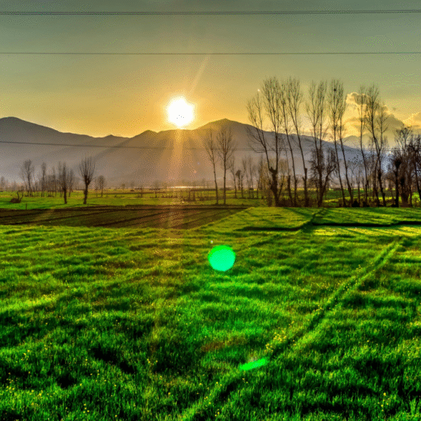 A nature sunrise over an empty road, representing hope and the chance to start over.