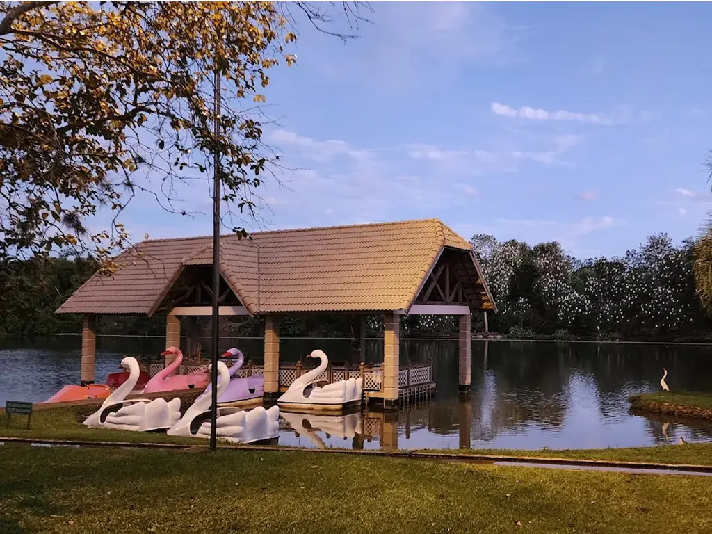 Lake with pedal boat.