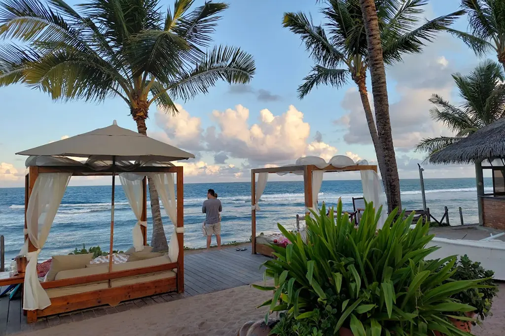 Beach view with cabanas and palm trees on the sand