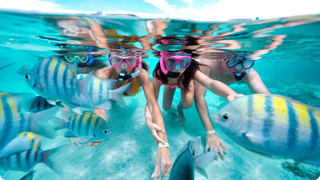 Four children snorkeling underwater surrounded by colorful fish